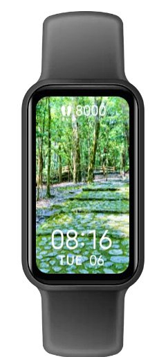 UDAFju6ZYTGz7GP's tweet image. 瀧原宮の参道をディスプレイにしたらありがたい感じになったけど、肝心の時計が見ずらい。
＃瀧原宮
＃smartbandPro
＃シャオミ