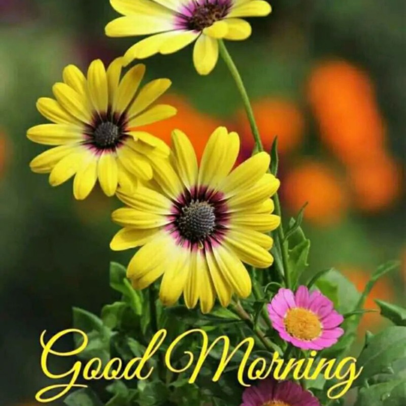 E7sacom's tweet photo. “Optimism isn’t a belief that things will automatically get better; it’s a conviction that we can make things better.”
#goodmorning
#goodday
#صباح_الخير
#يوم_جديد https://t.co/vKFwduL6xy