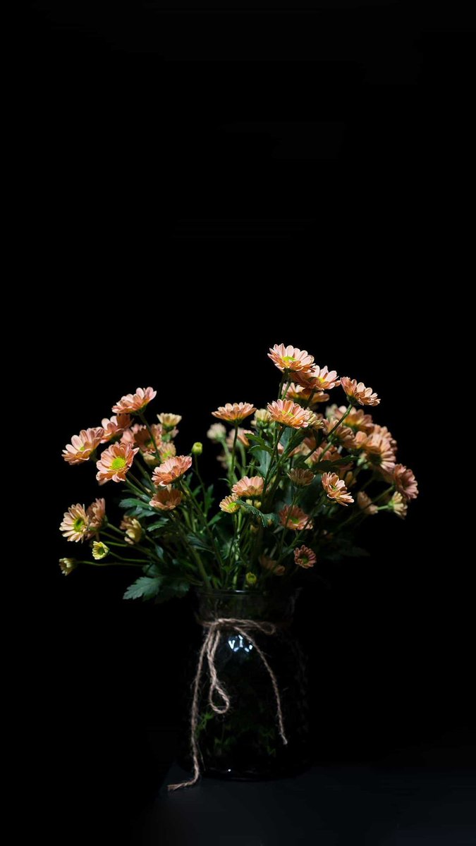 银鼠629 tweet media