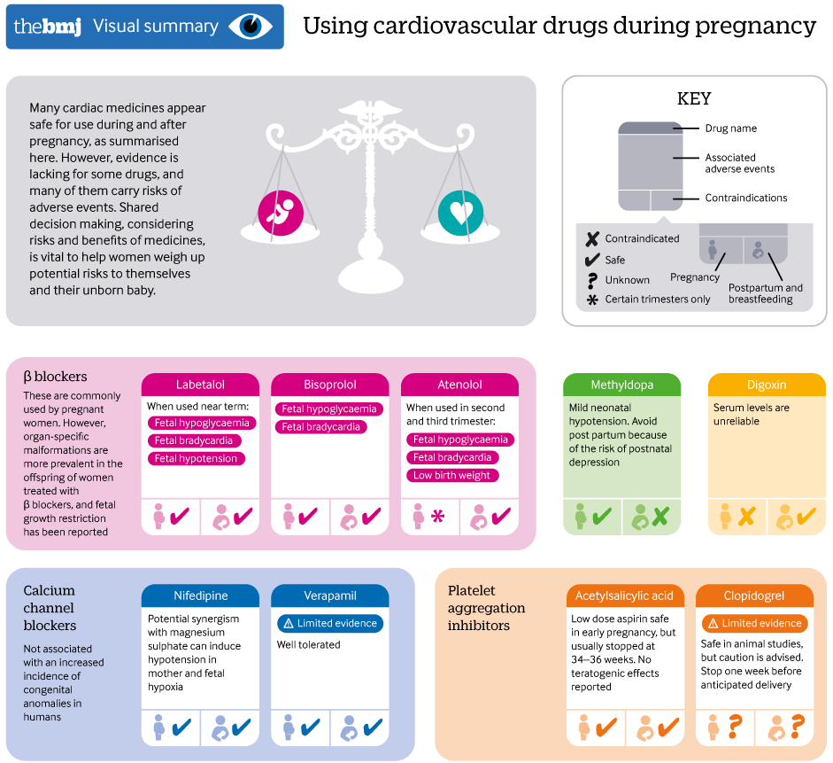 cardioteca's tweet photo. 📌 Fármacos cardiovasculares durante el embarazo.

📁 https://t.co/ZmQJjHSxbq
#CardioTwitter #Cardiologia https://t.co/67MsIl12VJ