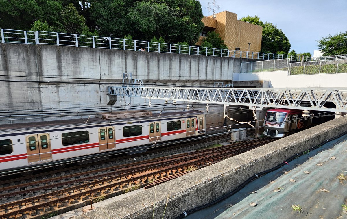 oCAf8Zsk992lqO7's tweet photo. 5189Fと6101F
目黒線が少し遅かったので並ばなかった😅

5489はもと6301なのでかつての同僚を追いかけるような構図に。。

プロの方にうまく並びショットを捉えてもらいたいです✨

#5189F
#5080系
#6101F
#6000系

#目黒線8両化 https://t.co/xXQksFY1s3