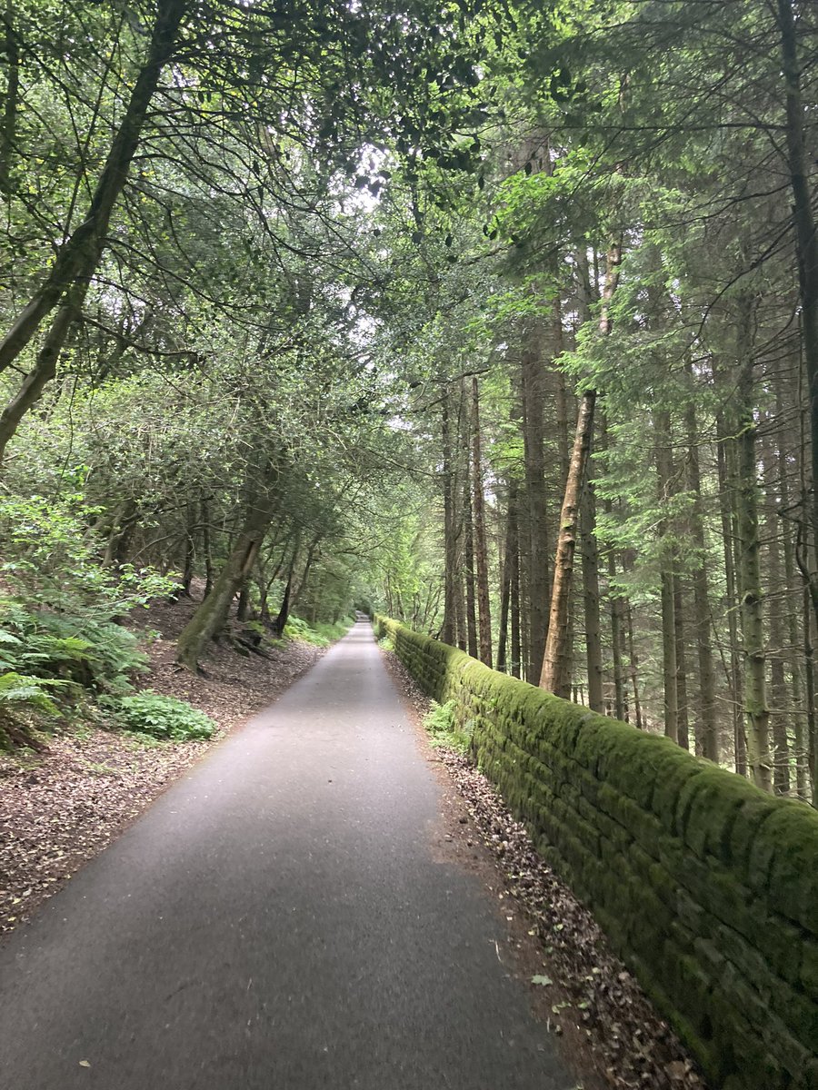 Testing Treescapes for <a href="/CYPTreescapes/">Voices of the Future: Child & Youth Treescapes</a> <a href="/CaitlinFNunn/">Caitlin Nunn</a> <a href="/KhawlaBadwan/">Dr Khawla Badwan</a>