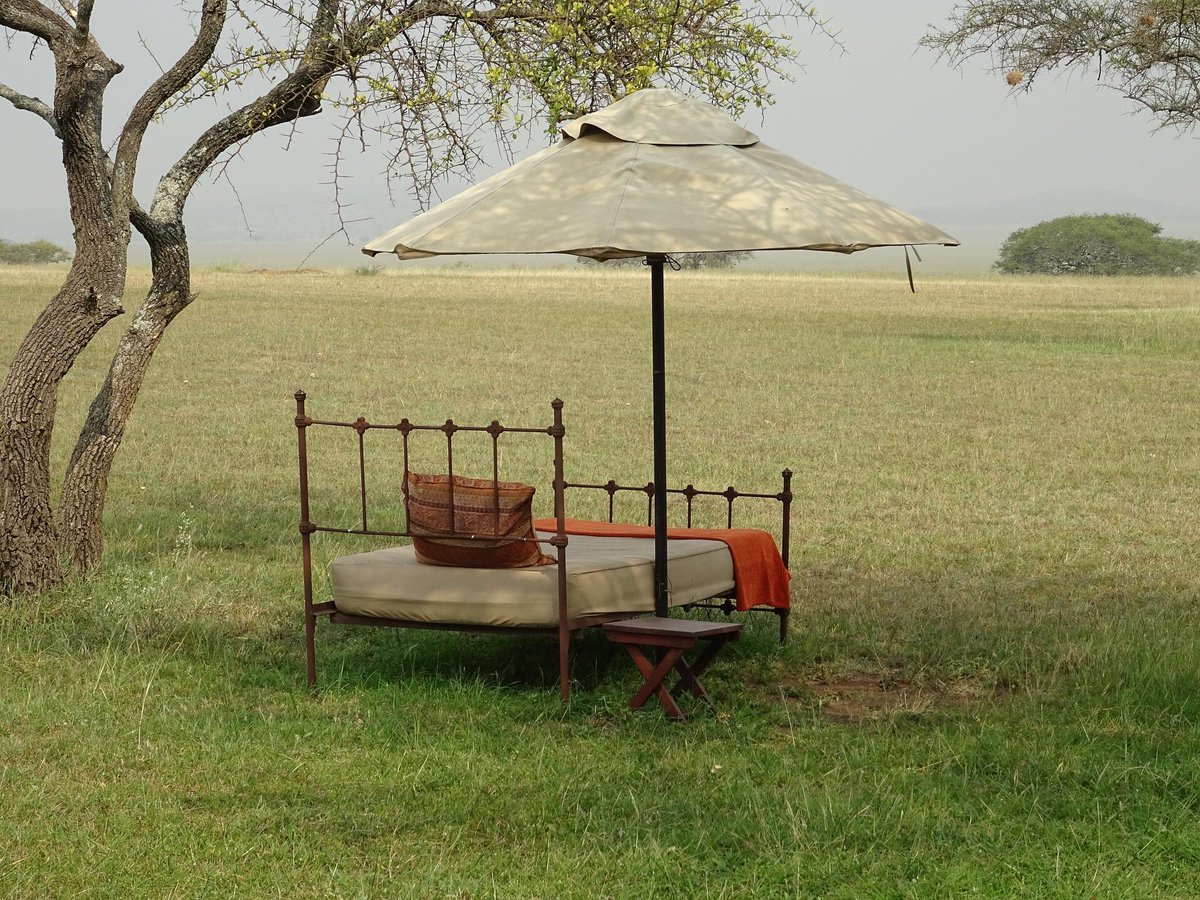 Geoptical's tweet image. Outside ✨
#wildlifephotography #sonya7iii #travelphotography