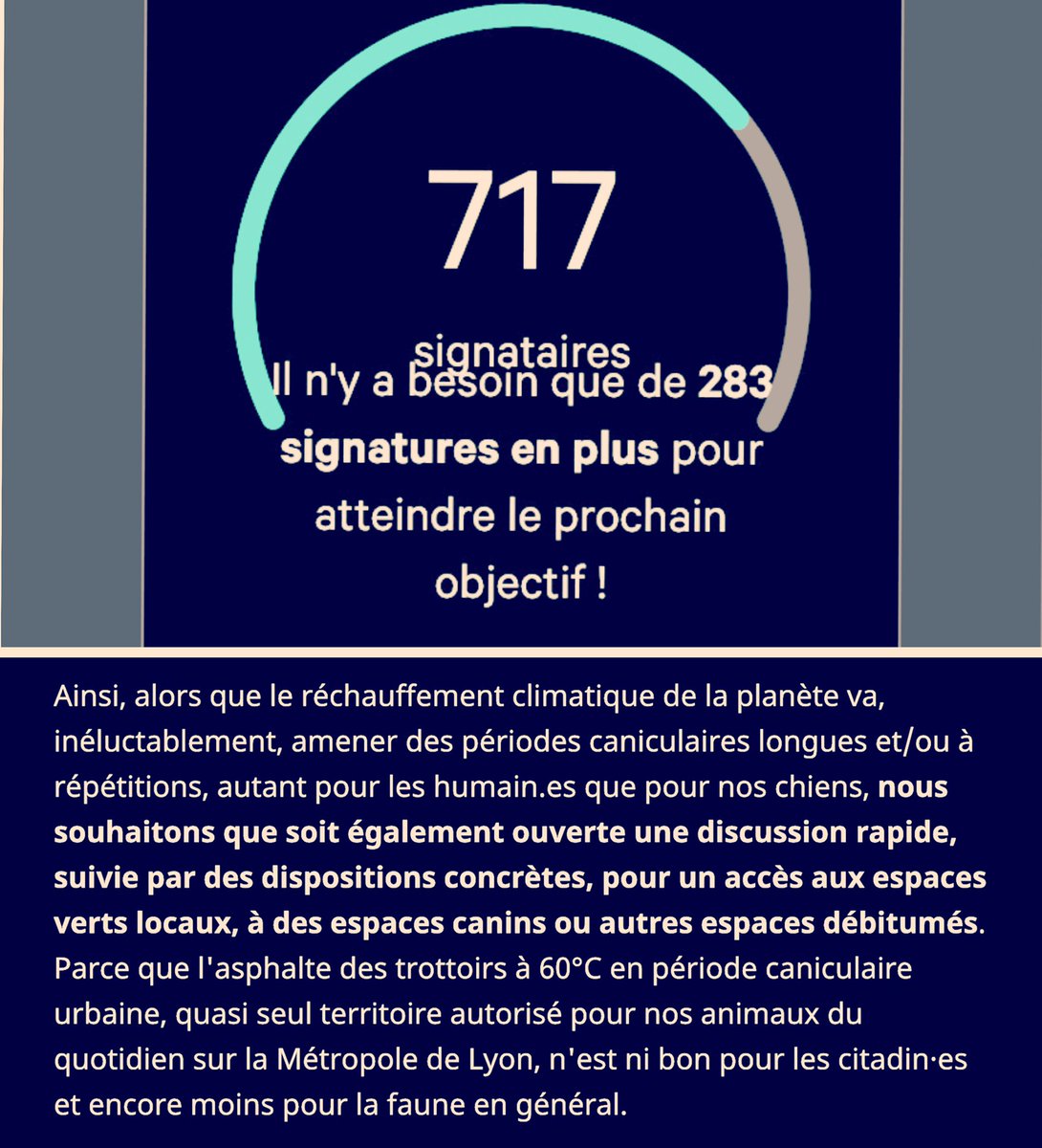 BBicaly's tweet photo. PÉTITION pour que @grandlyon @villedelyon @villeurbanne @HeleneGeoffroy @Venissieux_ @VilledOullins @TassinDemiLune… luttent contre la prolifération des #epillets et pour des espaces non bitumés aux #chiens. #sante #bienetreanimal #canicule 

https://t.co/Pl2ujm6qqu https://t.co/uQV4ZjST5X