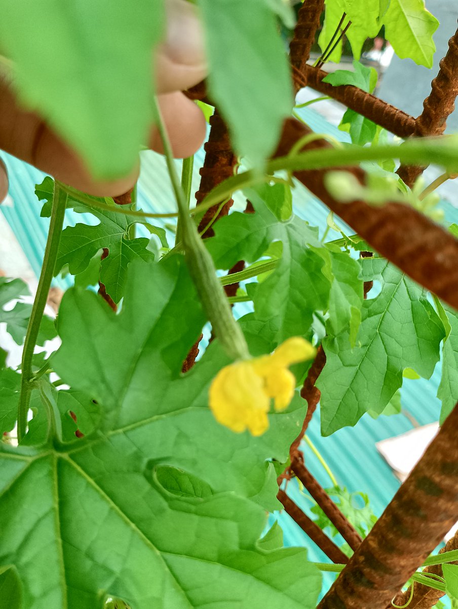 MadHandArtist tweet media