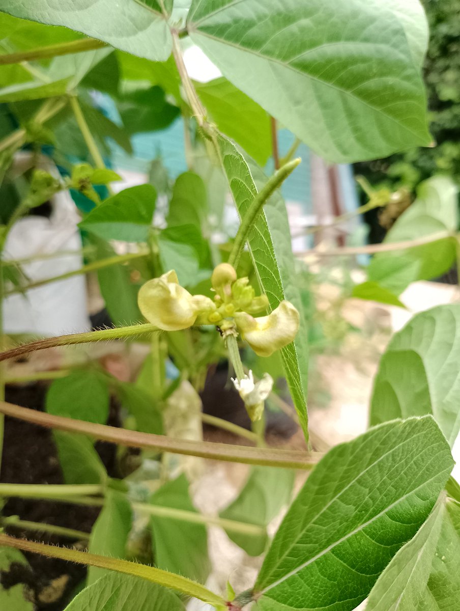 MadHandArtist tweet media