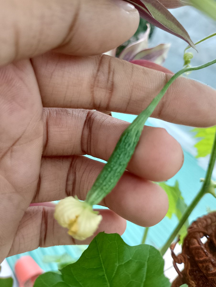 MadHandArtist tweet media