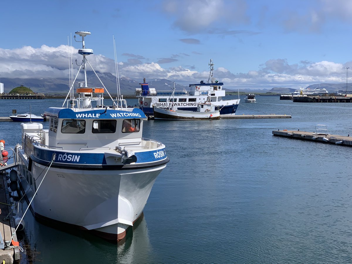 VernonActing's tweet photo. #iceland #Reykjavik spending time in this wonderful location. https://t.co/t6avnenLrD