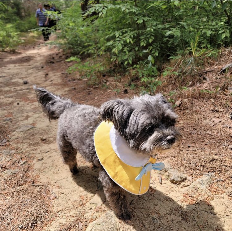토리야!!!
할아부지 왜 인수타에만 올리세요! 못볼뻔했잔아효…