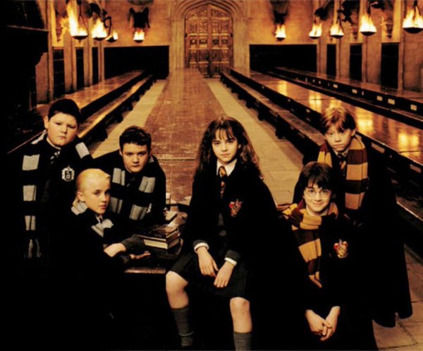 A rare photo of Gryffindor and Slytherin students posing for a photo together.