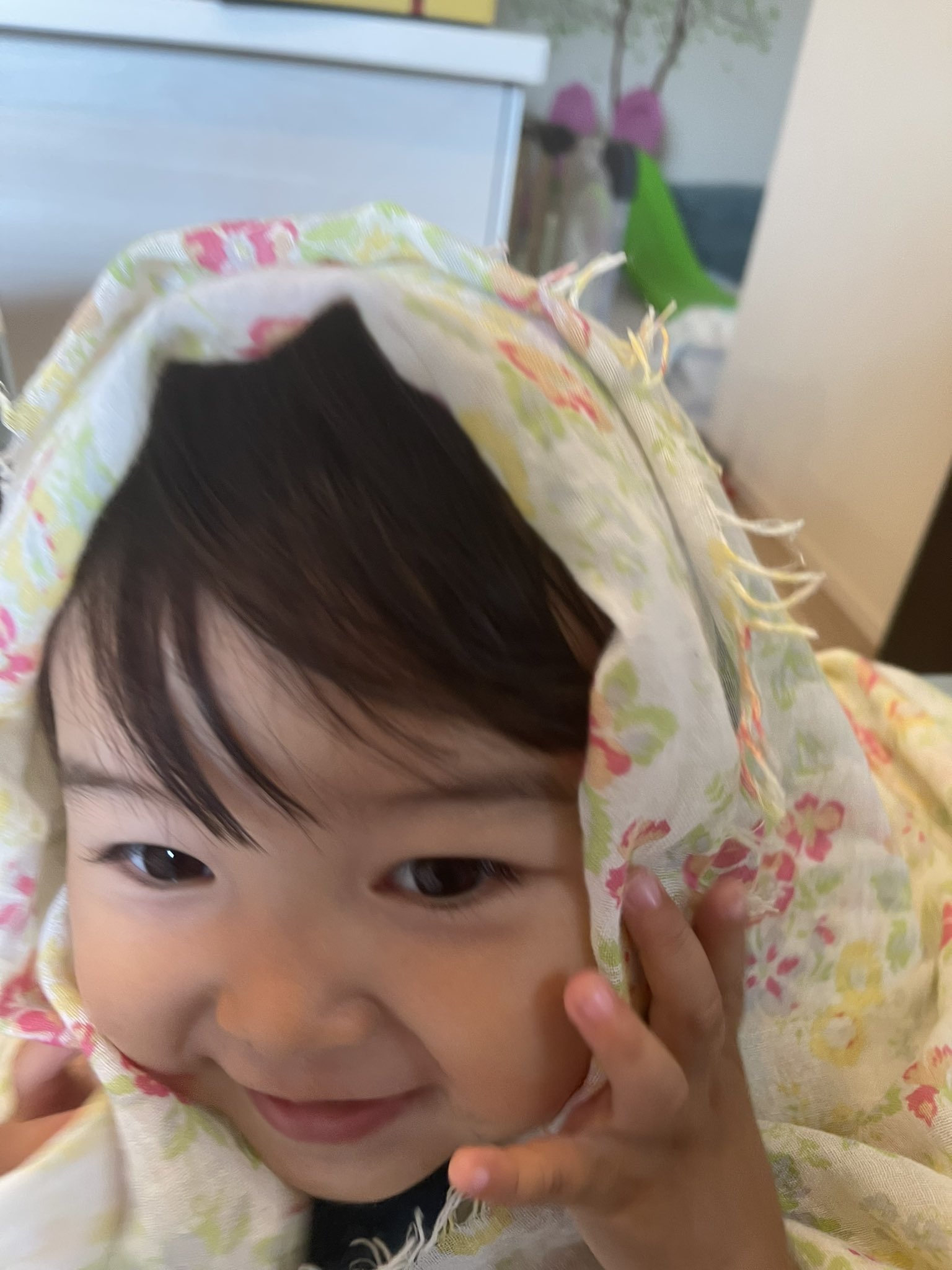 いっせいくん育児日記 Issei87 Twitter