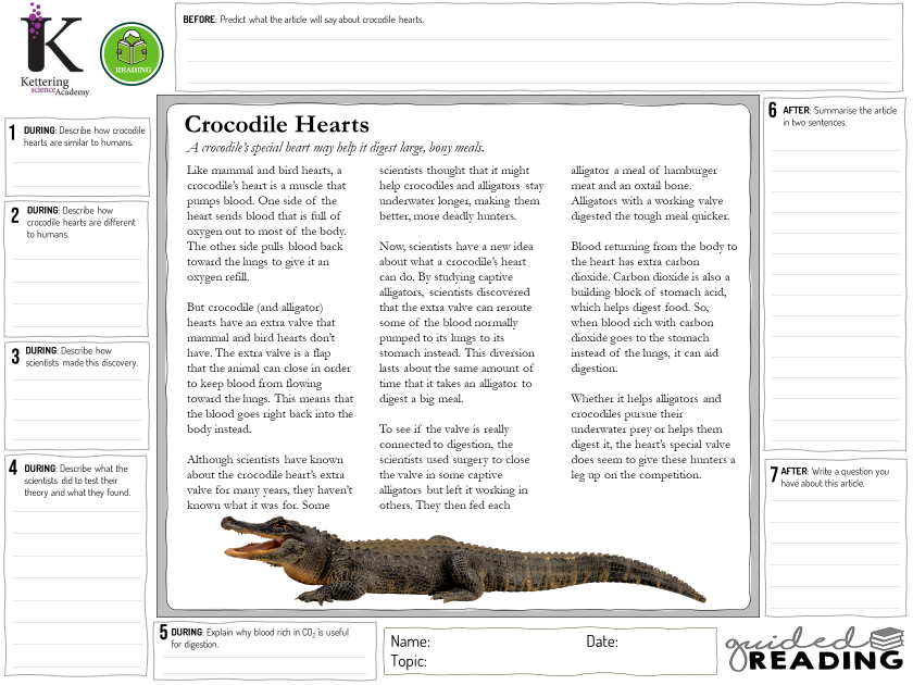 Paul_SciTeach's tweet image. Had a few requests for the #ReciprocalReading sheets from people so decided it would be easier to create a Google drive and stick them on there for people 😊

drive.google.com/drive/folders/…

Will add to it when I make more!

#Literacy #Reading #ScienceTeacher #TeachingResources