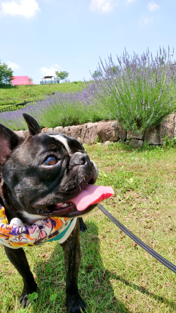愛 地球博記念公園 Twitter Search Twitter 愛 地球博記念公園 Twitter Search Twitter