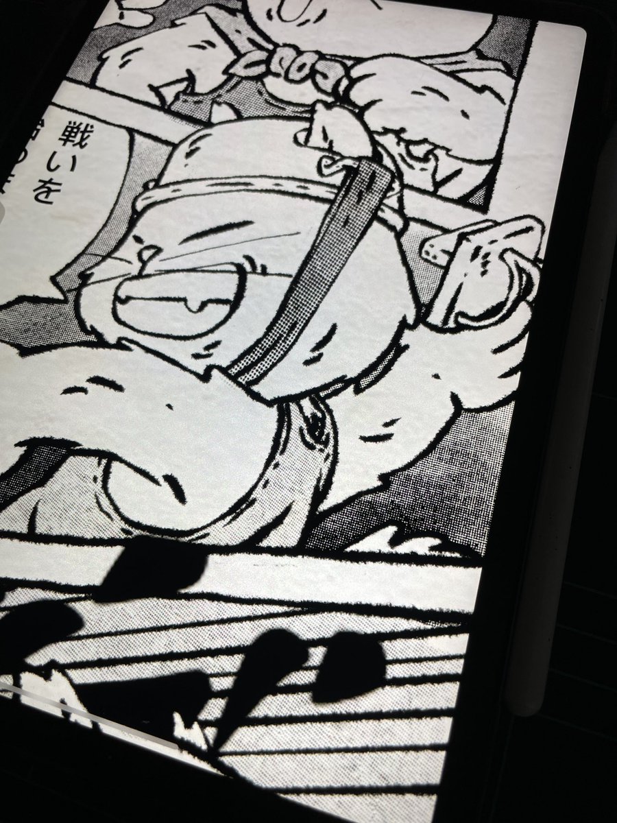 kopippoki tweet picture
