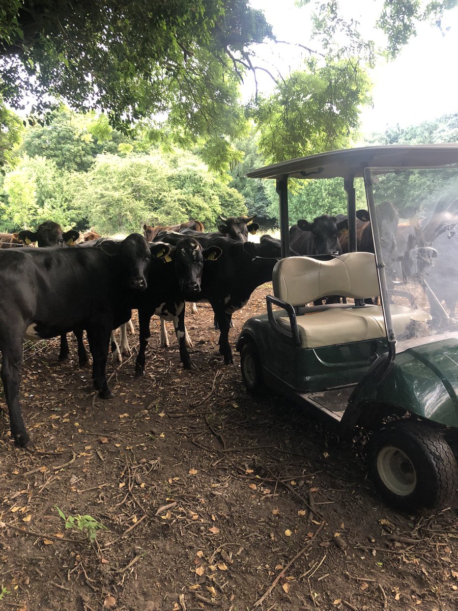 High Legh Park Greens tweet media