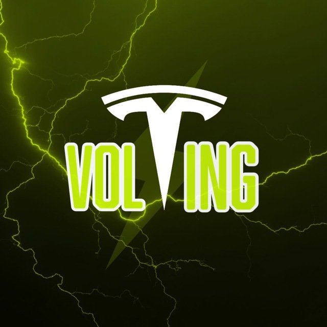 Volt Inu ⚡️ tweet media