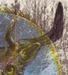 0neSquareInch's tweet photo. Each day, #OneSquareInch of a great children's book cover. But what's the book?
If you know it, why not drop us a hint. Most of the fun in this is the clues you give each other so do join in! https://t.co/GEhbJu8DUe
