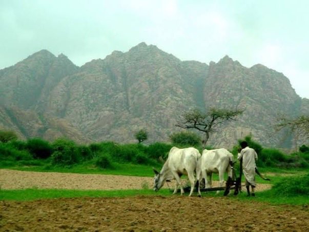 Hanif Samoon tweet media