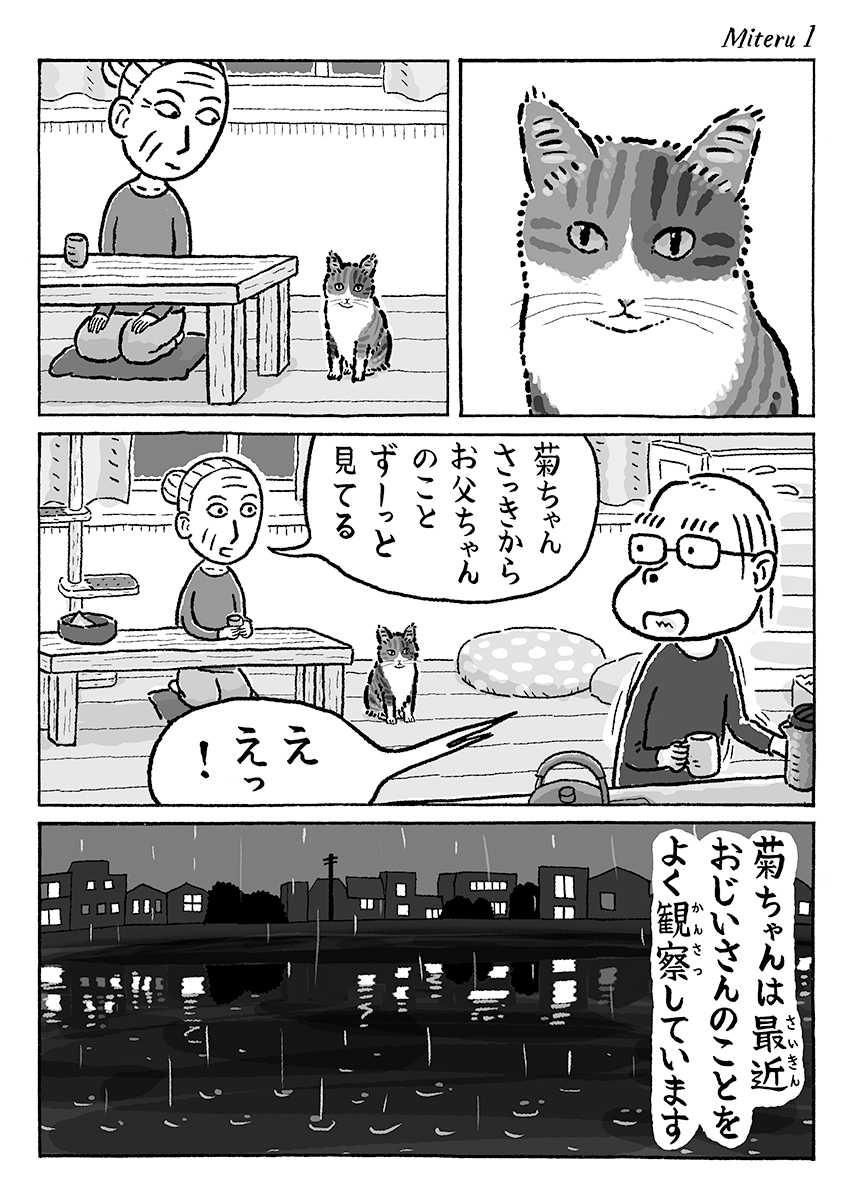 2ページ猫漫画「おじいさんウォッチング」 