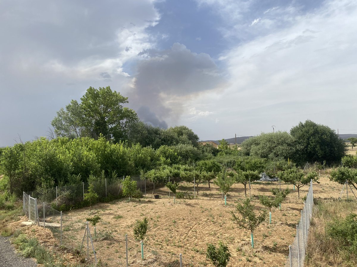 23aaleex's tweet photo. Lo que nos esta pasando en las zonas afectadas por el incendio de la sierra de la culebra es estar preocupados dia y noche por si las llamas llegan a nuestras casas han tenido que evacuar a 7 pueblos y @alferma1 sigue sin hacer nada con TODOS los operativos que “estan en paro” https://t.co/QpDov09x1q