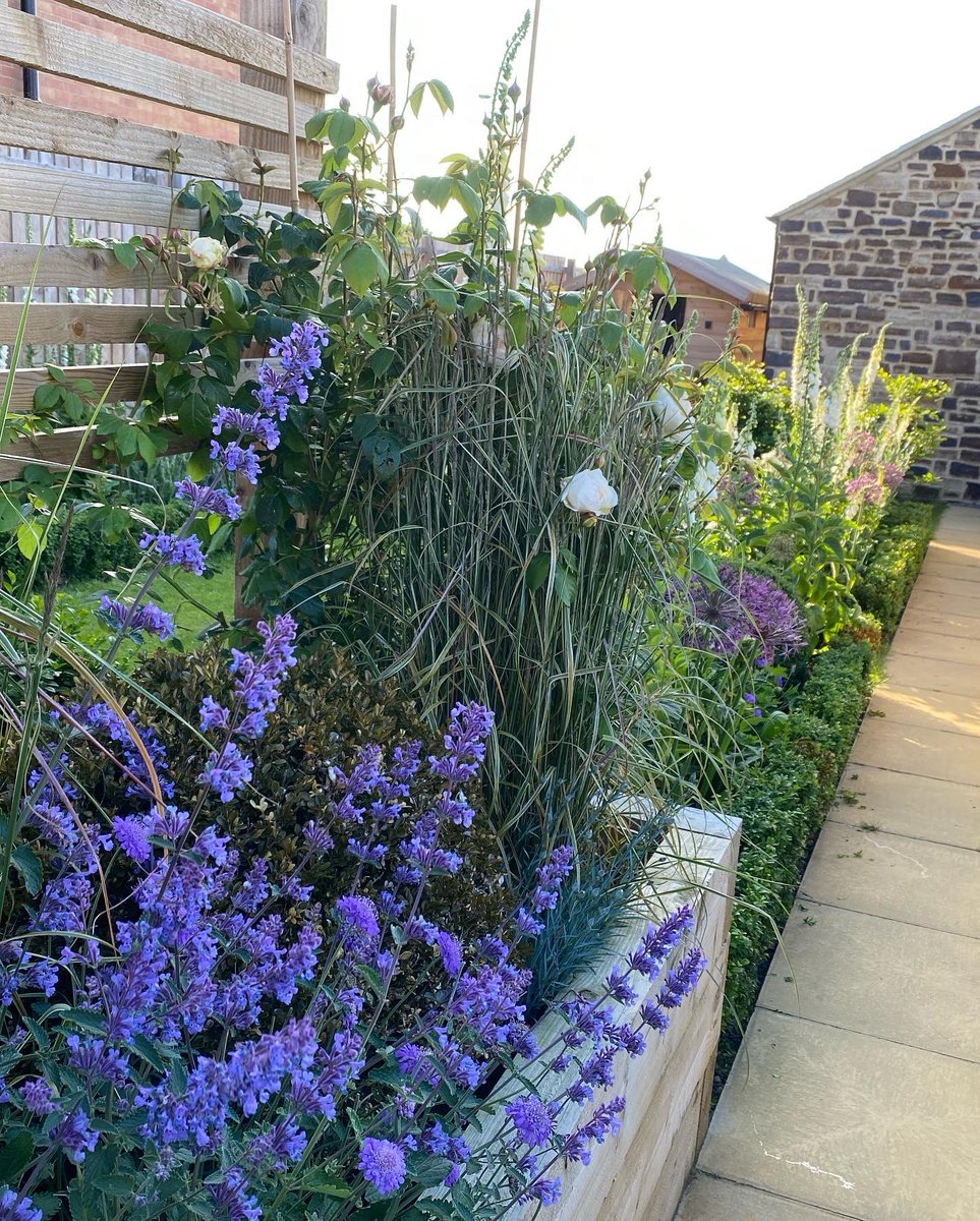 markylinley's tweet photo. Couple of before pics and more of garden #gardeningTwitter https://t.co/t9mEM7hM3f