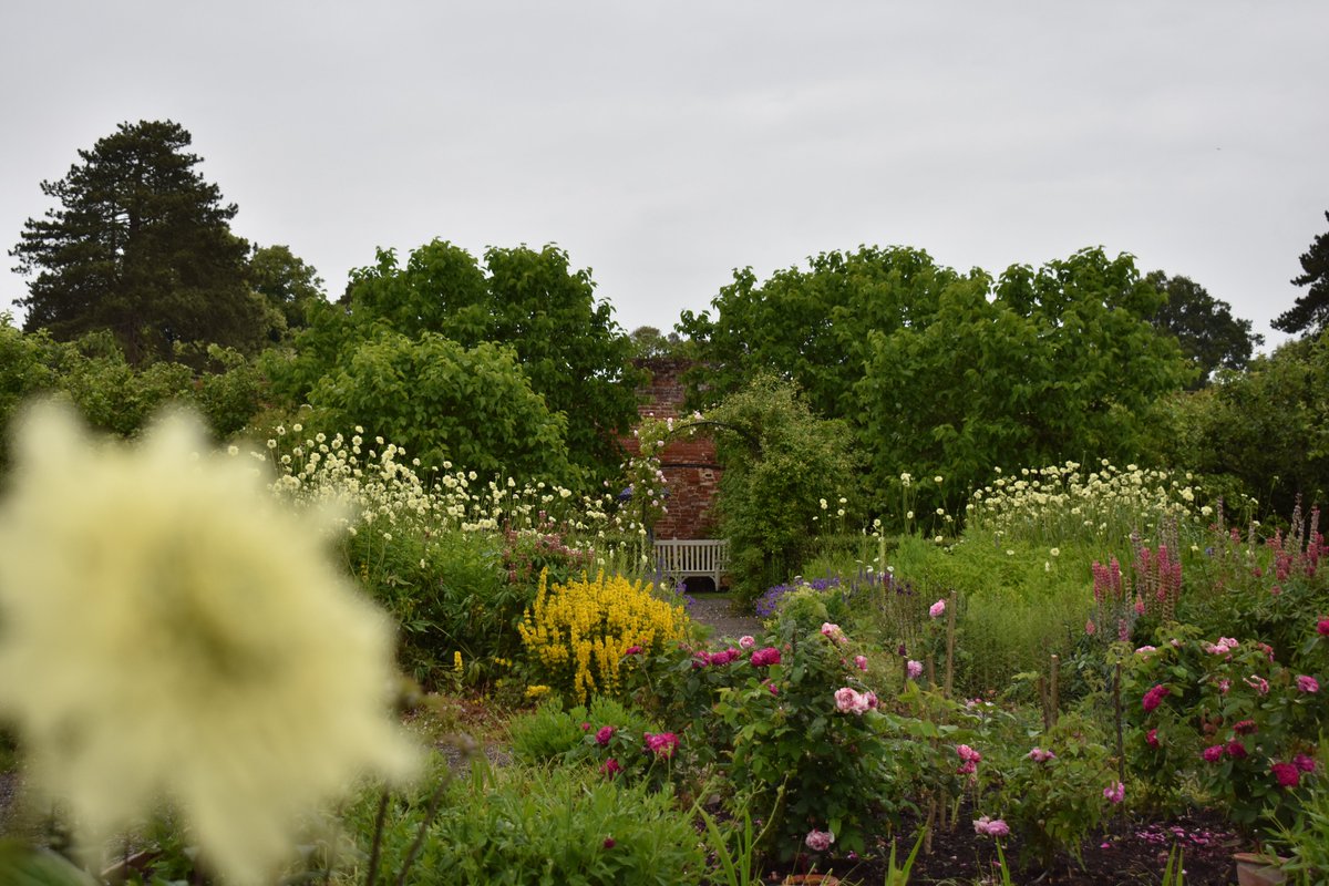 Do you like to look at the small details or the big picture? 

Either way, Berrington's walled garden is always sure to delight. 

#gardensoftwitter #walledgarden #visitherefordshire #history #heritage #leomisnter #garden #capabilitybrown #georgian #flowerphotography