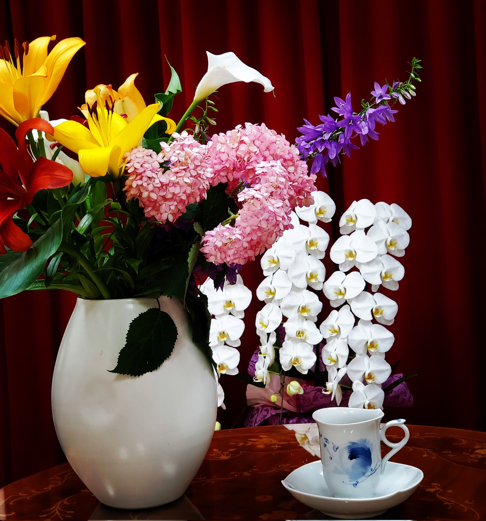 Orchids Twitter Bilaketa Twitter