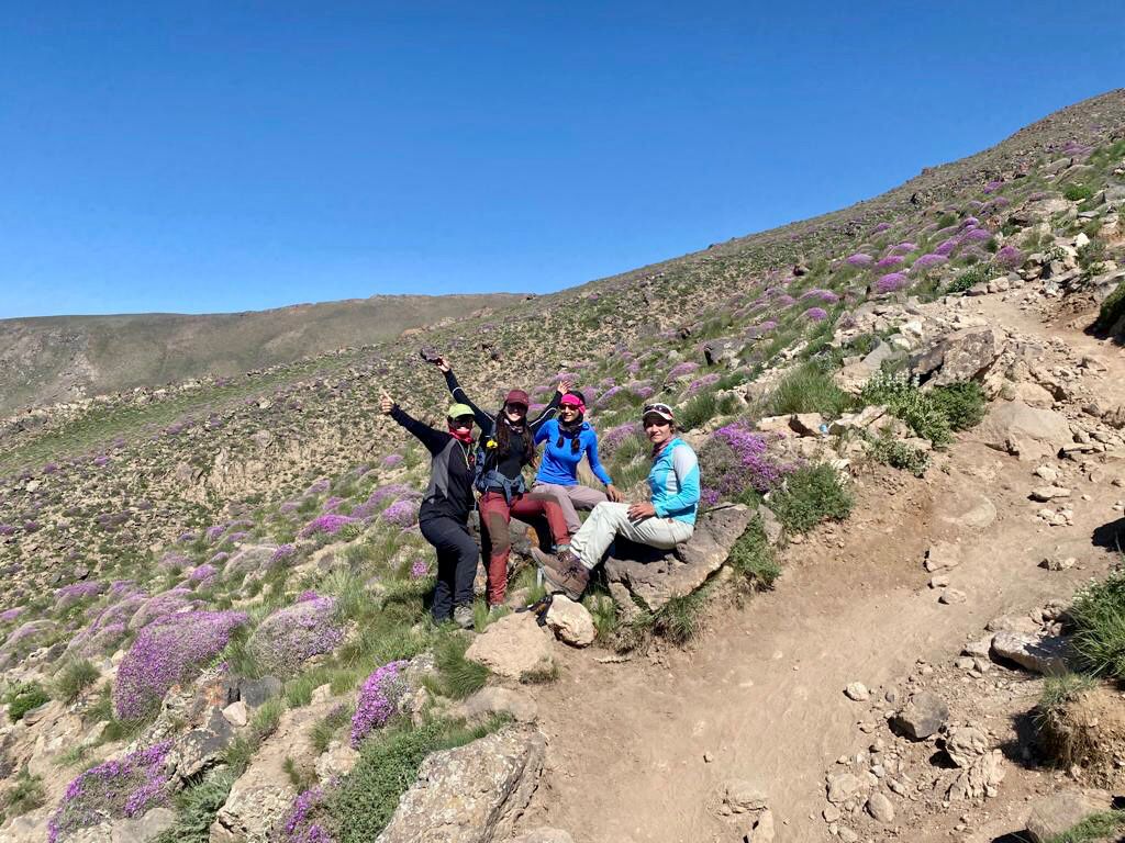 EmbaMex IRN tweet media