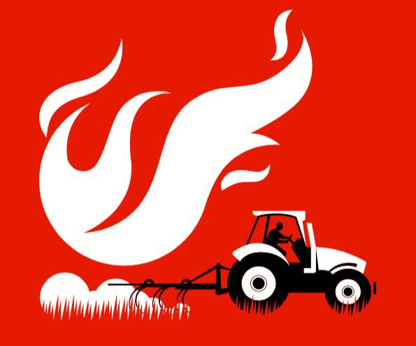 Rebrotem tweet media