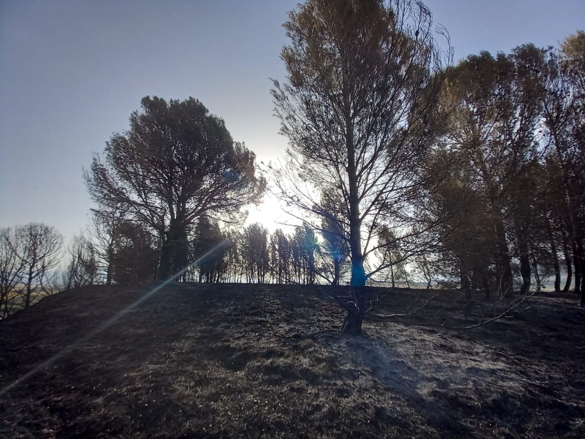 msaidadelgado1's tweet photo. So much land destroyed... https://t.co/95FeggvbPy