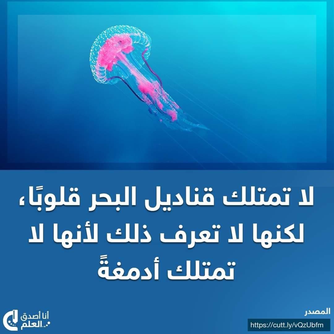 marawan913's tweet photo. Perfect life https://t.co/fRnx2uEIQ0