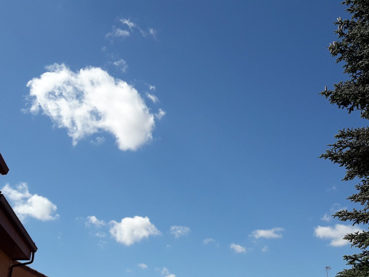 ShowMeTheSky1's tweet photo. #19Junio Zona Este de #Madrid 11:15 Tenemos cielo más azul, #NubesNaturales sin rastros de condensación y temperatura más suave #Dimming #VaporDeAgua #CristalesDeHielo #GeoIngenieria NexRad SRM #ManipulaciónClimática No te pedimos que pienses como nosotros, solo que pienses https://t.co/zAFkqnJasg