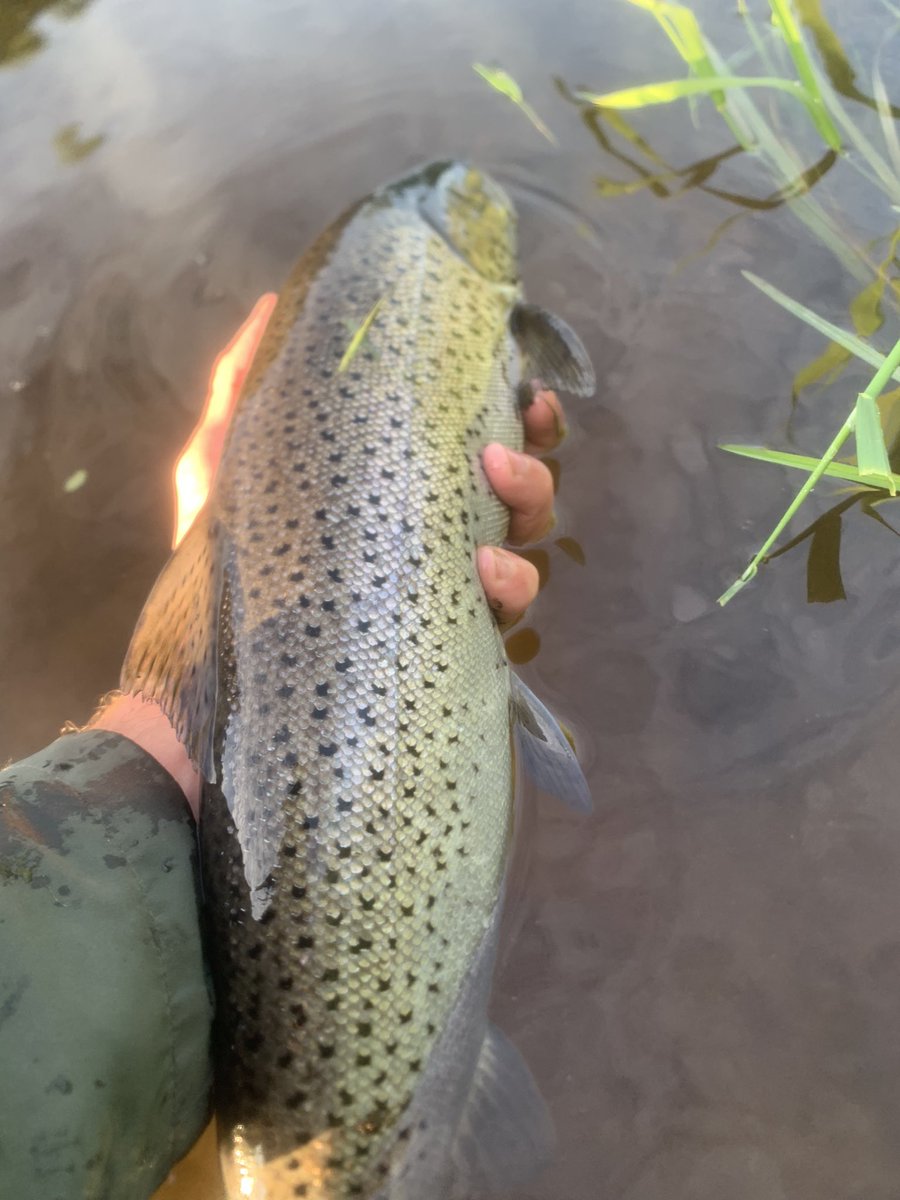 Daniel Clarkson tweet media