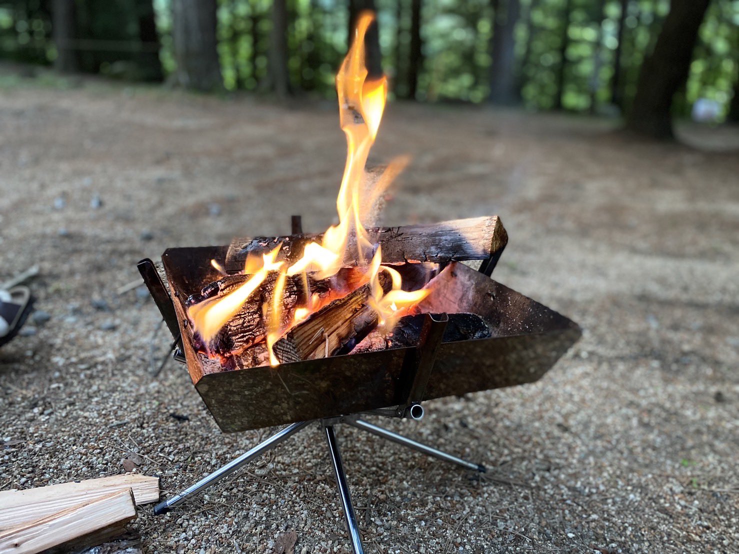 なかほし 松本移住 週末は予想外に天気が良さそうだったので急遽キャンプへ 夜は少し寒いくらいで焚き火が気持ち良く 畑の新玉ねぎ丸焼きやズッキーニソテーして ホッケ焼いて 唐突に〆はペンネのペペロンチーノw 夫作のスキレットペペロンチーノ