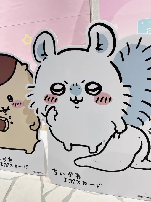 今日のモモンガ 