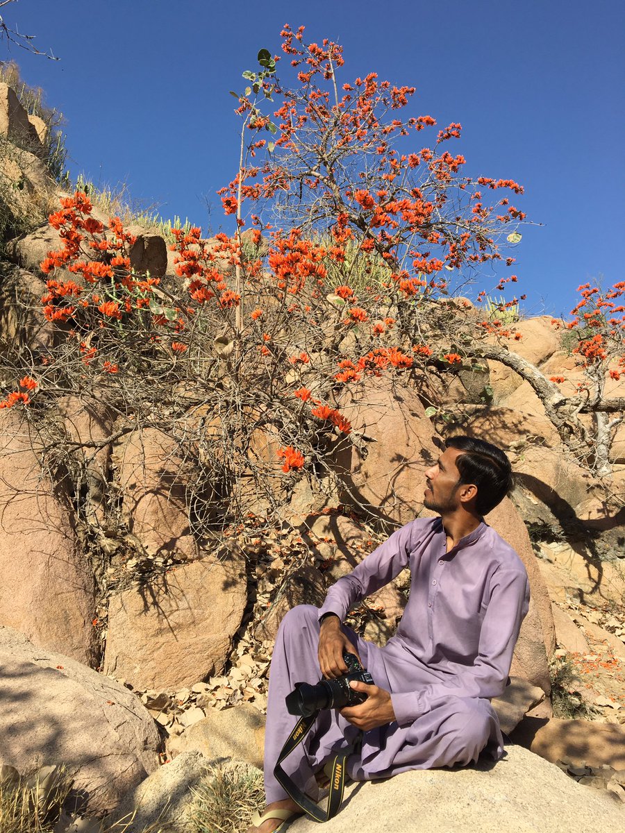 Karoonjhar Photography tweet media