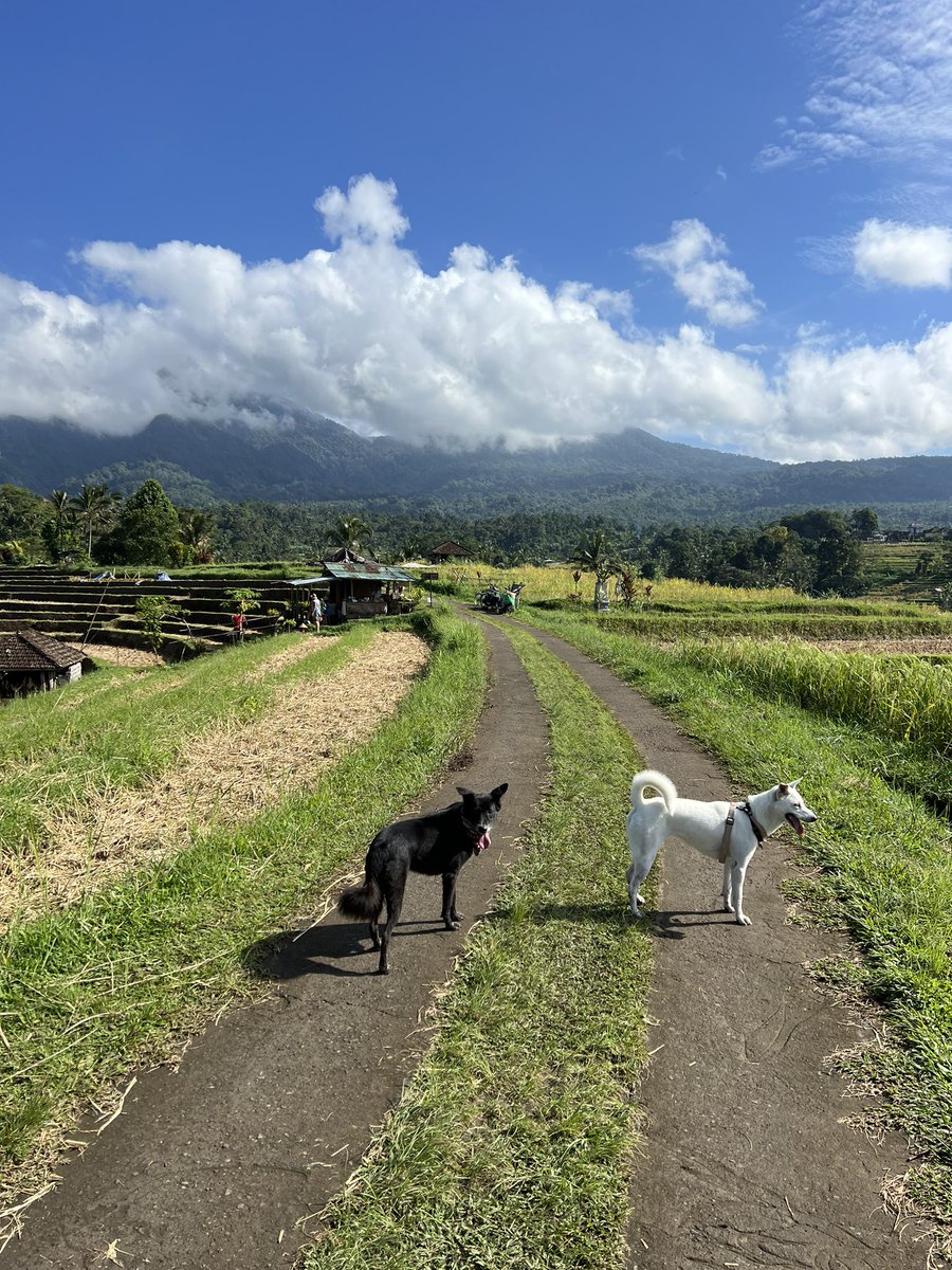 Kirkthejerk tweet media