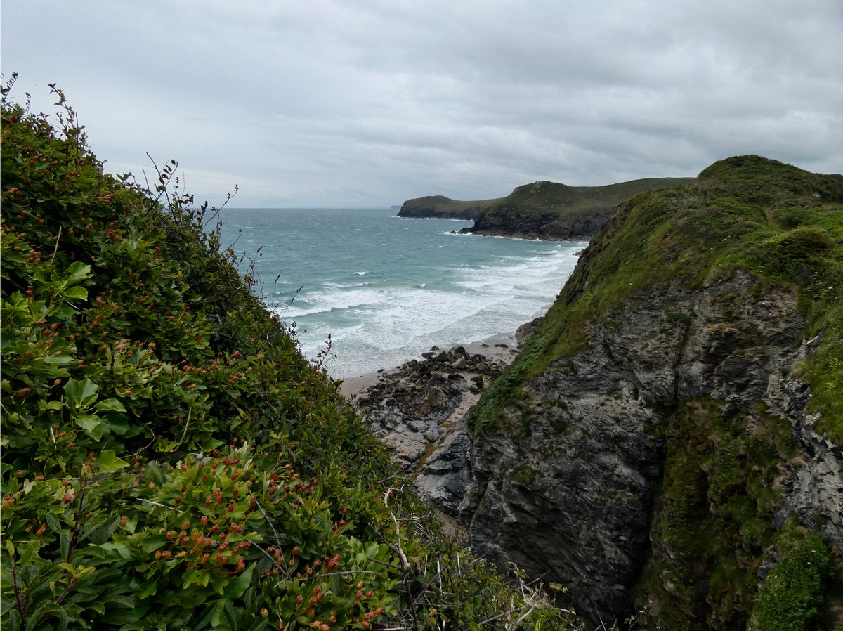 CliffsideKatie's tweet image. Midsummer or November? 🤔 #whatheatwave