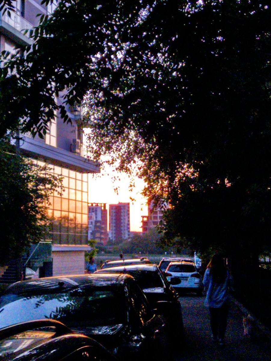 Nikita_Yaskin's tweet image. #redminote8t #GoogleCamera #snapseed