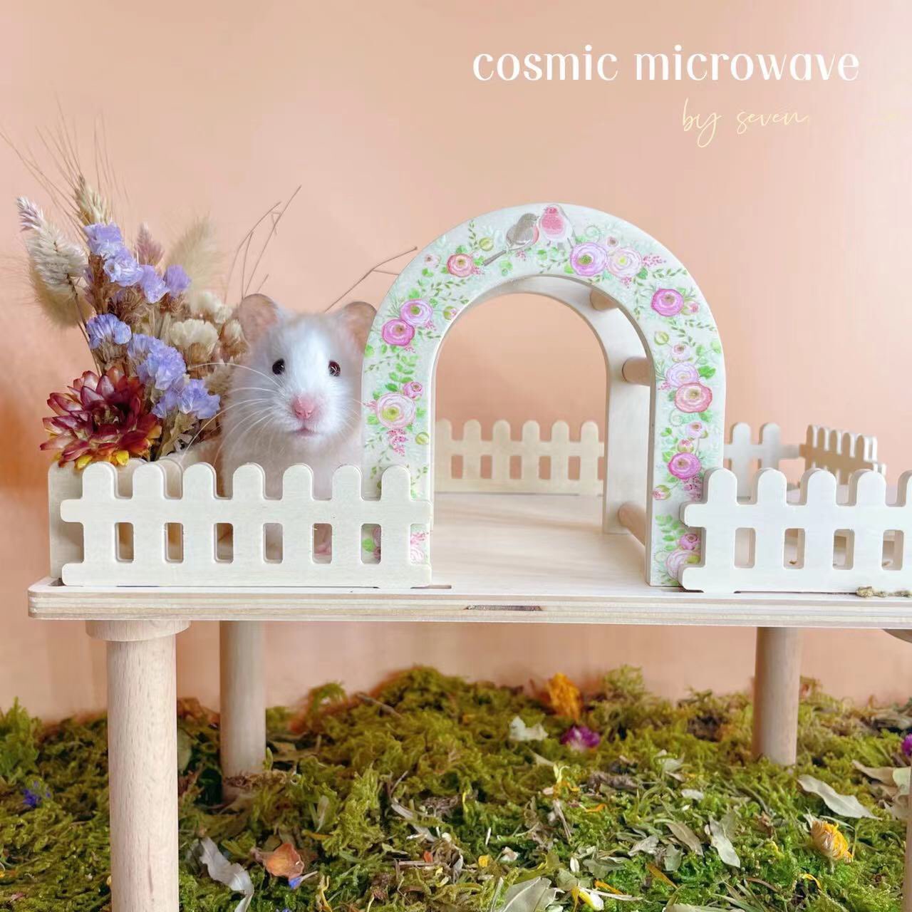 Curated visual reference: Fresh Look at Cosmic Microwave On Twitter Cosmic Microwave New Hamster Arch Https