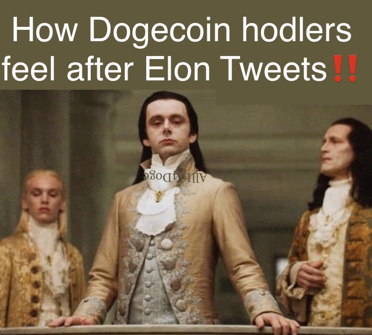 Allin4DOGE's tweet photo. #dogecoin ๐โค๏ธโผ๏ธ#doge #allin4doge #dogearmy #DoOnlyGoodEveryday https://t.co/YgdLc2bu6c