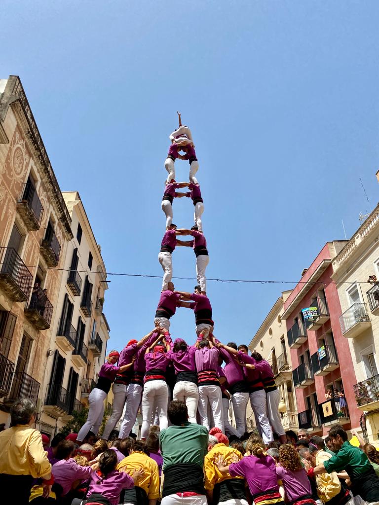 Oriol Solà i Solà tweet media