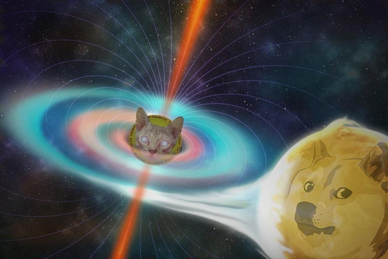 Luscus Cat tweet media