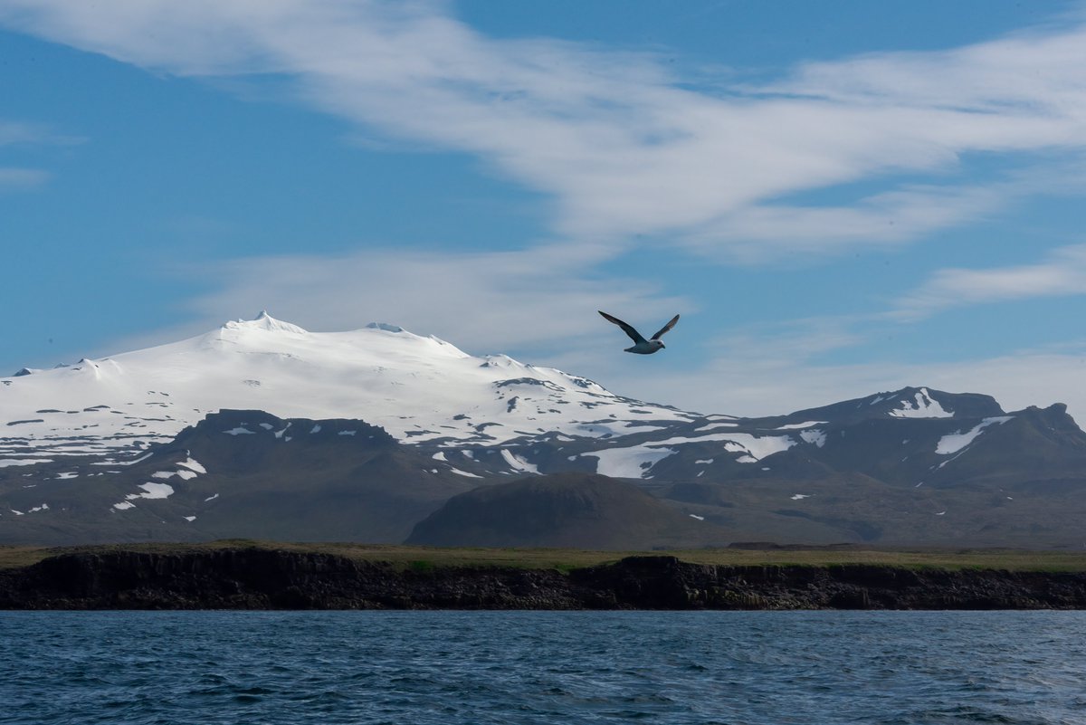 An image for me which 'says' Iceland - landscape and birds. A magnificent country  - never been before - blown away. Just off the northern coast of the Snæfellsnes peninsula. #Iceland #landscape #nature