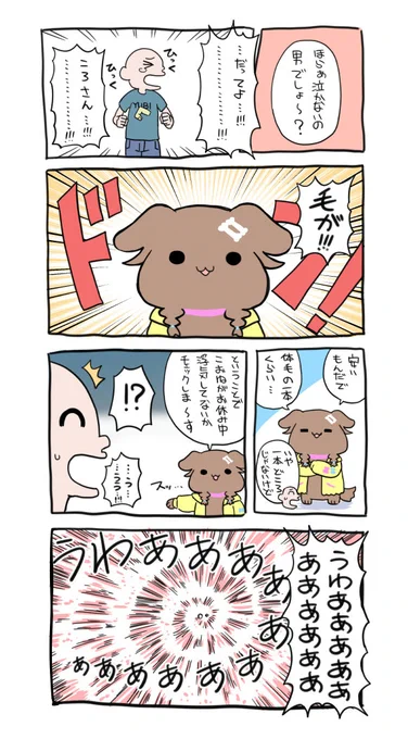 おかえりころさん
毛玉ころね可愛いよね…
#できたてころね 