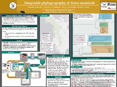 aandroski's tweet photo. If you missed my poster on shrew phylogeography at @ASMTucson, it’s still up for viewing at board 54! I’d love to answer your questions and talk #shrews! #justShrewIt https://t.co/ZNep3ZE20g