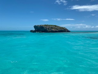 Rhiannon Austin tweet media