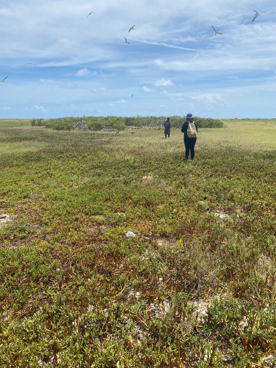 Rhiannon Austin tweet media