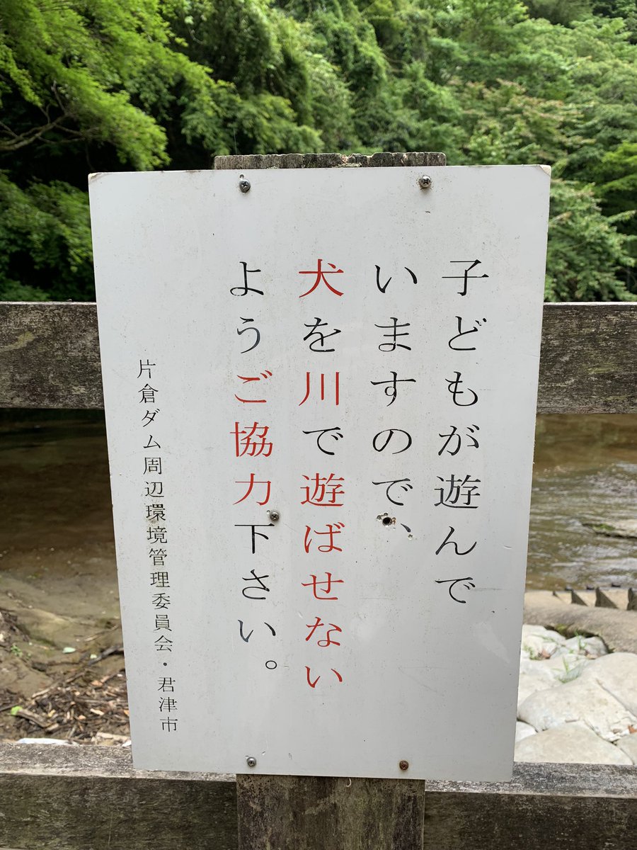 1007jun's tweet photo. 子どもが遊んでいますので、、
の部分要らないし、なぜ決めつける？ https://t.co/CvQnxYVpwe