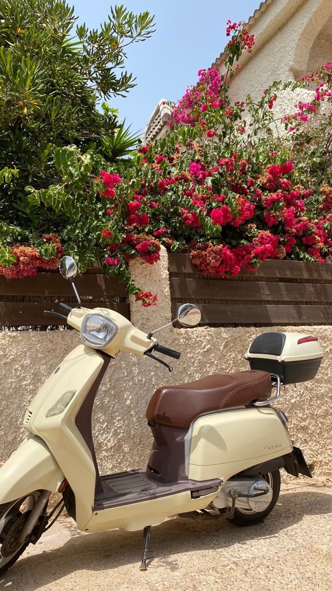 leslunettesrose's tweet photo. Summer adds color to my daily life 🌺 https://t.co/XKIfugR3ZN
